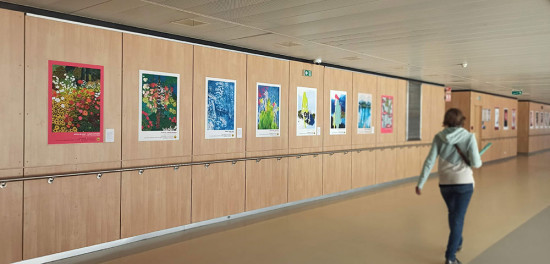 Centre hospitalier Annecy - Genevois