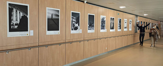 Centre hospitalier Annecy - Genevois