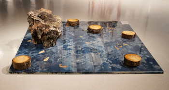 Forum Exposition Bonlieu - Gilles Giacomotti