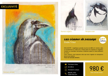 Affiche insolite